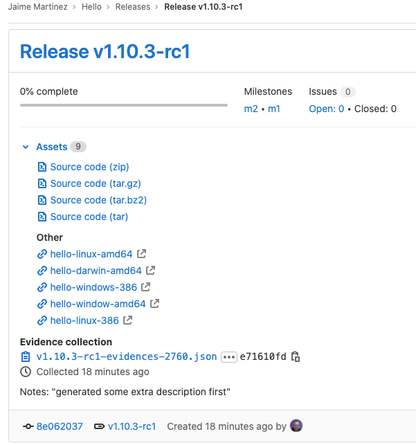 Vue des assets binaires attachés à une release - GitLab 13.5
